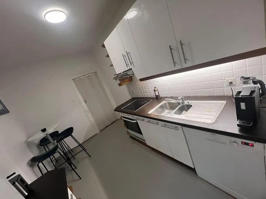 Apartamento Stylisch In Sankt Johann Nahe Novartis Campus Basilea